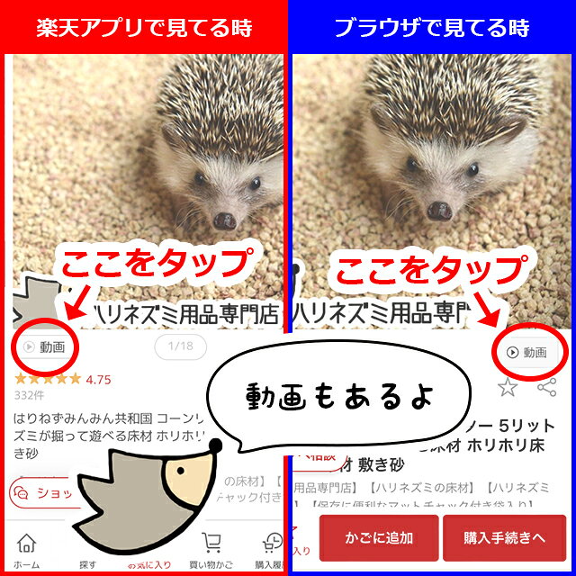 サムネイル