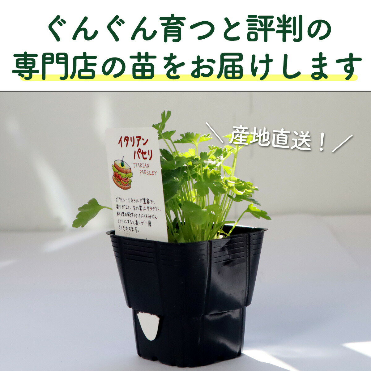 サムネイル