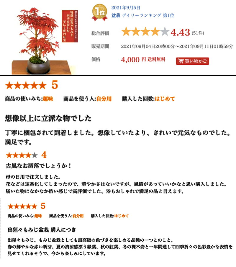 サムネイル