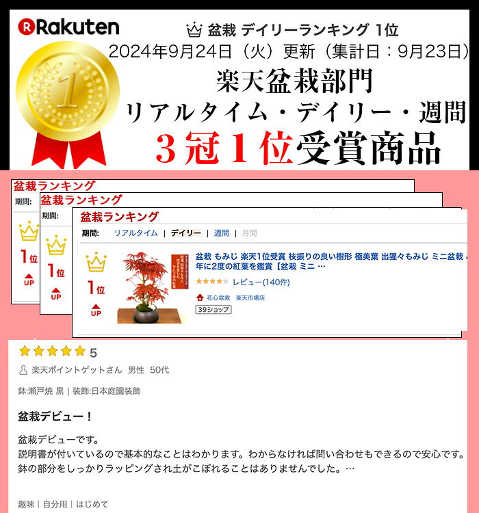 サムネイル