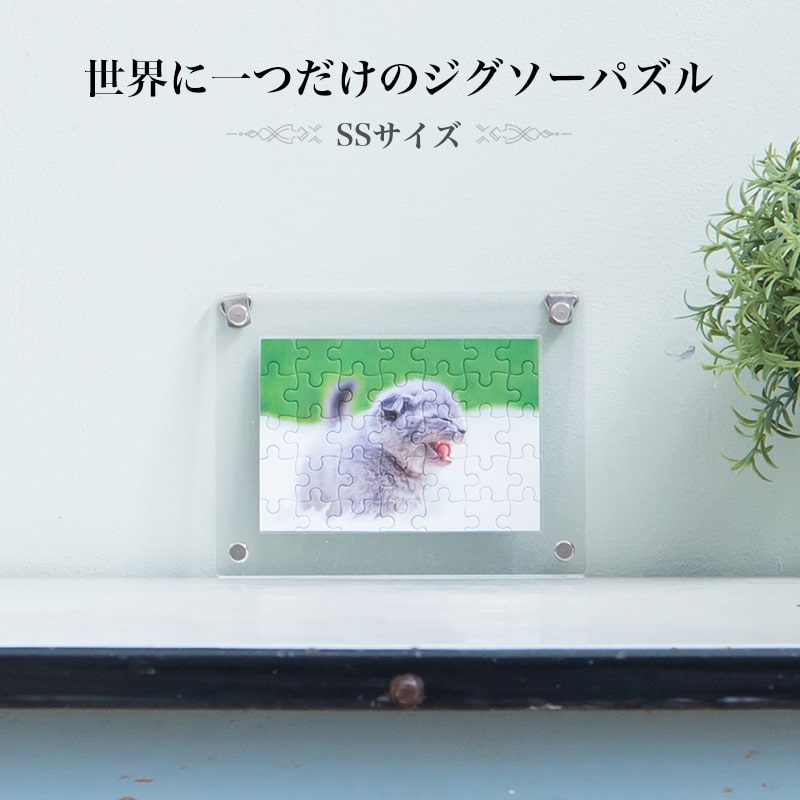 サムネイル
