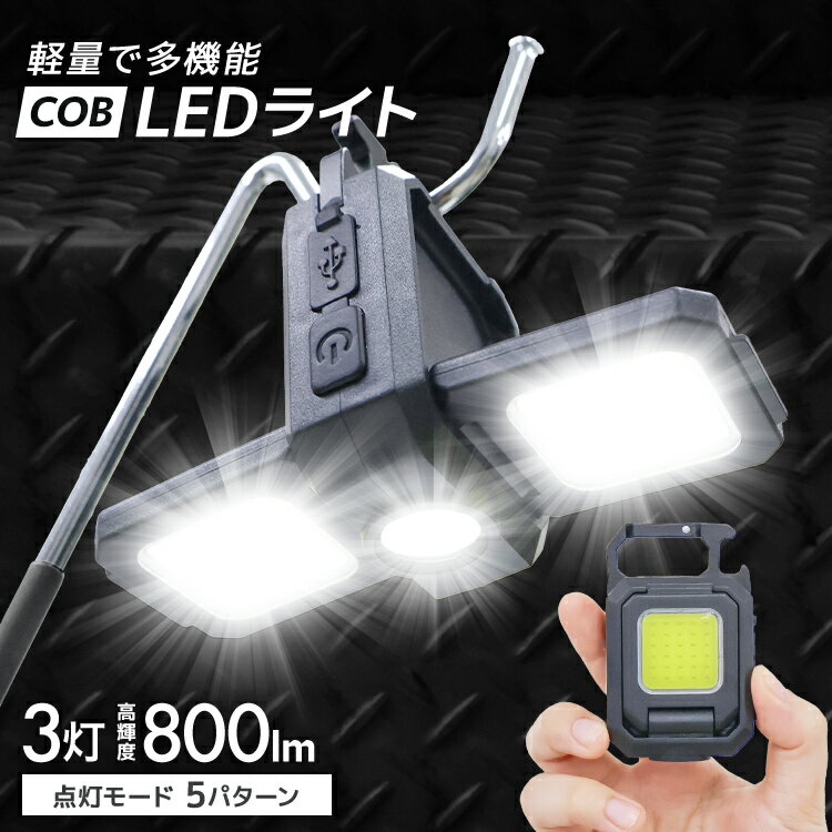 【本日限定クーポンで最大10%OFF】COBライト 充電式 小型ライト COB LED ライト 高輝度 800lm IPX4 防水 5種点灯モード LED 投光器 作業灯 小型 携帯 ミニ ライト ハンディライト 懐中電灯 カラビナ 栓抜き 三脚適用 軽量 強力磁石付き キーホルダー 送料無料