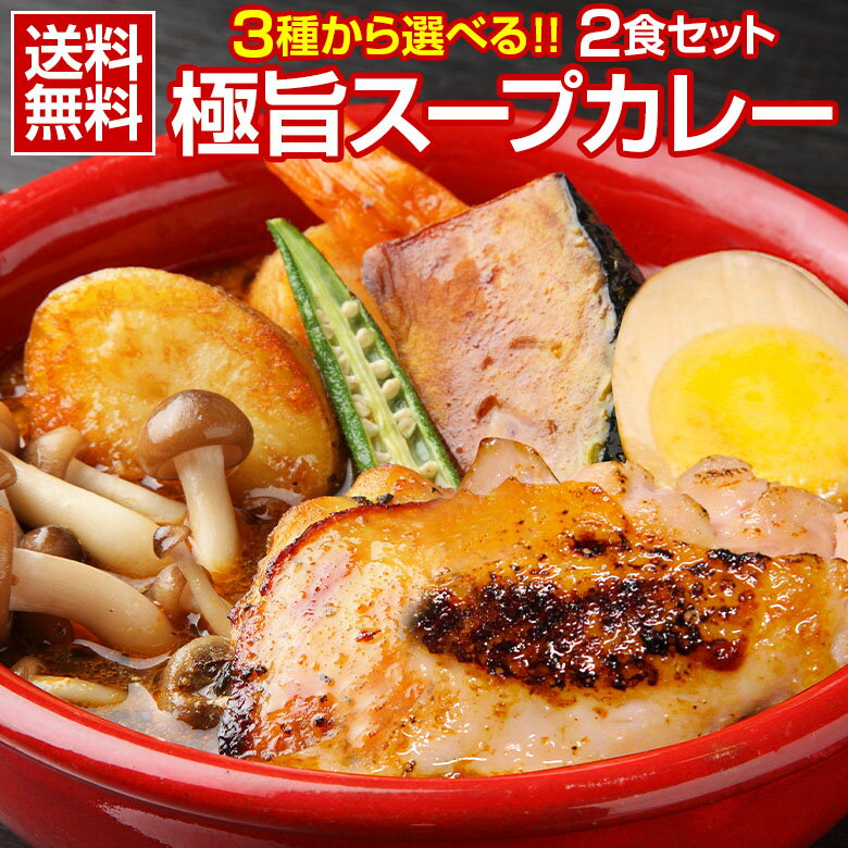 カレー レトルト【3種から選べる 北海道極旨スパイシー.スープカレー2食.】 レトルトカレー スパイス チキン 北海道スープカレー スパイスカレー 角煮 スパイスカレーセット カレーセット 北海道 【B】 【Q】
