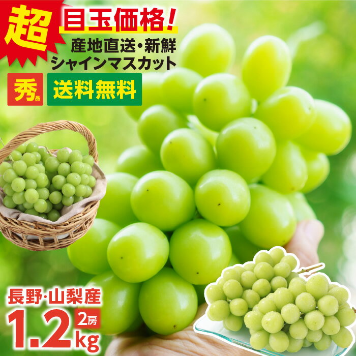 ＼楽天グルメ大賞受賞！先行予約／シャインマスカット 秀品 1.2kg 2房 ぶどう 送料無料 山梨 長野産 産地厳選 皮ごと食べられる 種なし 大房 1房あたり約600g ブドウ | 高糖度 シャイン マスカット 甘い 果物 ギフト プレゼント のし 贈答 旬の味覚 フルーツ 2026