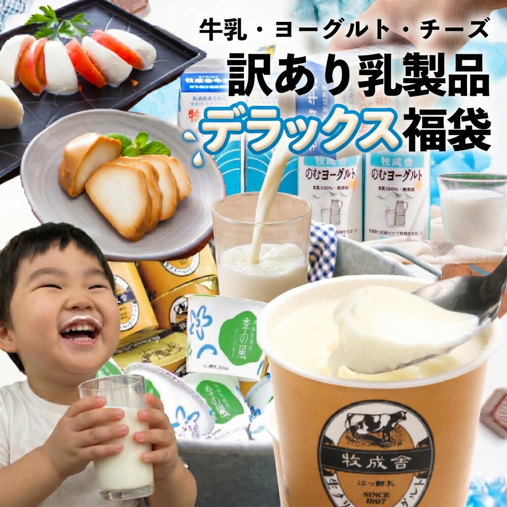乳製品デラックス袋 もったいない 訳アリ ご褒美 福袋 食品 2026 在庫処分 スイーツ おつまみ お取り寄せ 牛乳 ヨーグルト 食品ロス 詰め合わせ チーズ 牧成舎 プレゼント 父の日 ギフト DEAL 母の日 父の日に乳（ちち）製品を