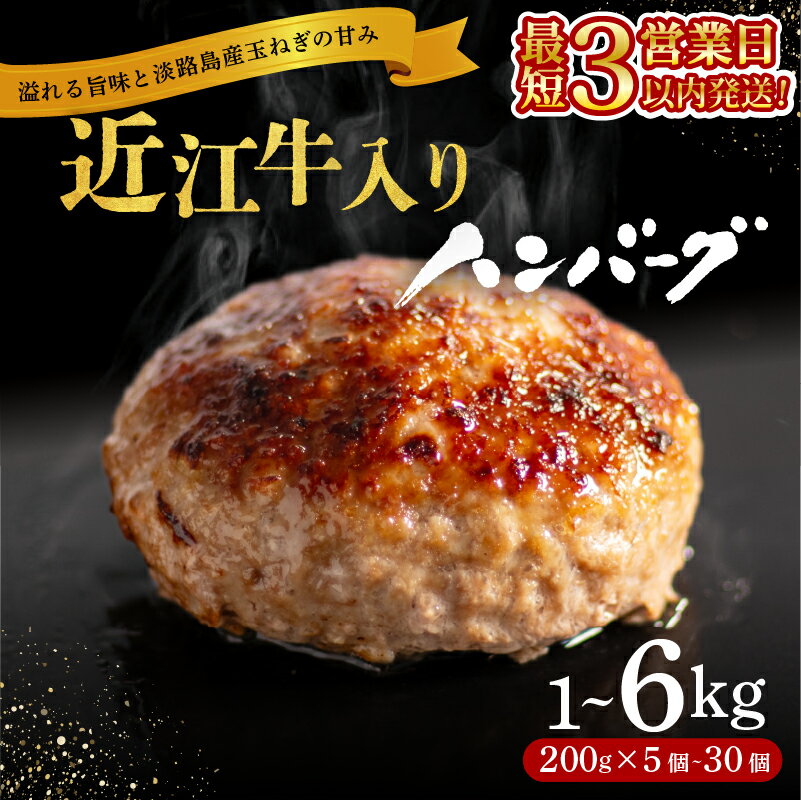 【ふるさと納税】 ＼総合1位獲得／ 近江牛 入り ハンバーグ 6kg 3kg 2kg 1kg 淡路島産 玉ねぎ 近江牛 使用 合挽き 近江牛 200g/30個15個10個5個 選べる容量 個包装 和牛 牛肉 合挽き 冷凍 黒毛和牛 豚肉 ポーク ランキング 神戸牛 松阪牛 に並ぶ日本三大和牛 滋賀県 竜王町
