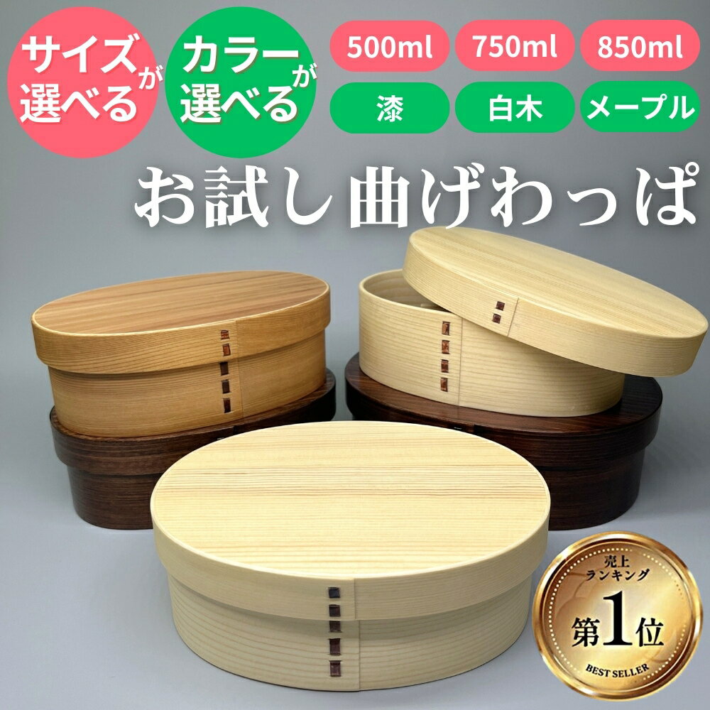サイズと色が選べる! 天然杉お試し曲げわっぱ 弁当箱 送料無料 まげわっぱ アウトレット おすすめ 大人気 お弁当箱 ご飯用 特大 スリム 大容量 保温 大人 子供 ランチボックス 男子 女子 1段 お得 定番 バンド付き 仕切り付き