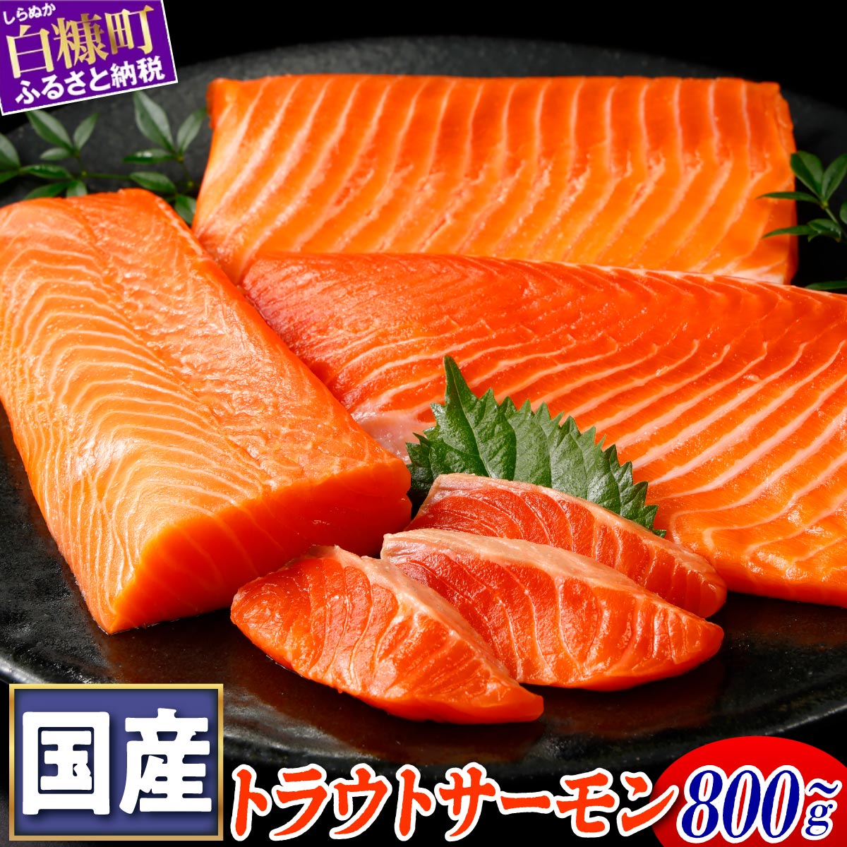 【ふるさと納税】 高評価★4.78 サーモン 国産 トラウトサーモン 800g / 1.6kg ふるさと納税 魚 海鮮 鮭 刺身 さけ サケ シャケ おすすめ ふるさと 納税 海鮮食品 魚介類 魚介 海鮮丼 お正月 お祝い 人気 ランキング 贈答用 ギフト 北海道 白糠町 白糠