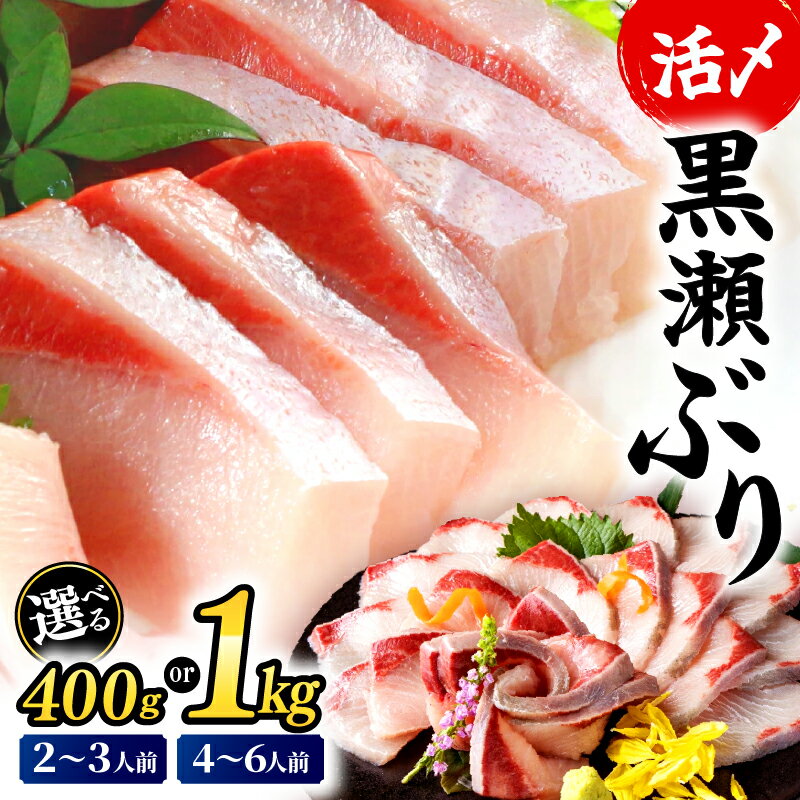 【ふるさと納税】＼ランキング入賞！／高評価！活じめ！黒瀬ぶりの生鮮ブリロイン 2節~3節 400g 1kg 刺身 海鮮 海産物 魚 水産物 海鮮丼 ぶりしゃぶ 生食 冷蔵 しゃぶしゃぶ 国産 ブリ 贈答用 おすそ分け ふるさと お刺身 食品 ぶり大根 鮮魚 人気 おすすめ 宮崎県 串間市