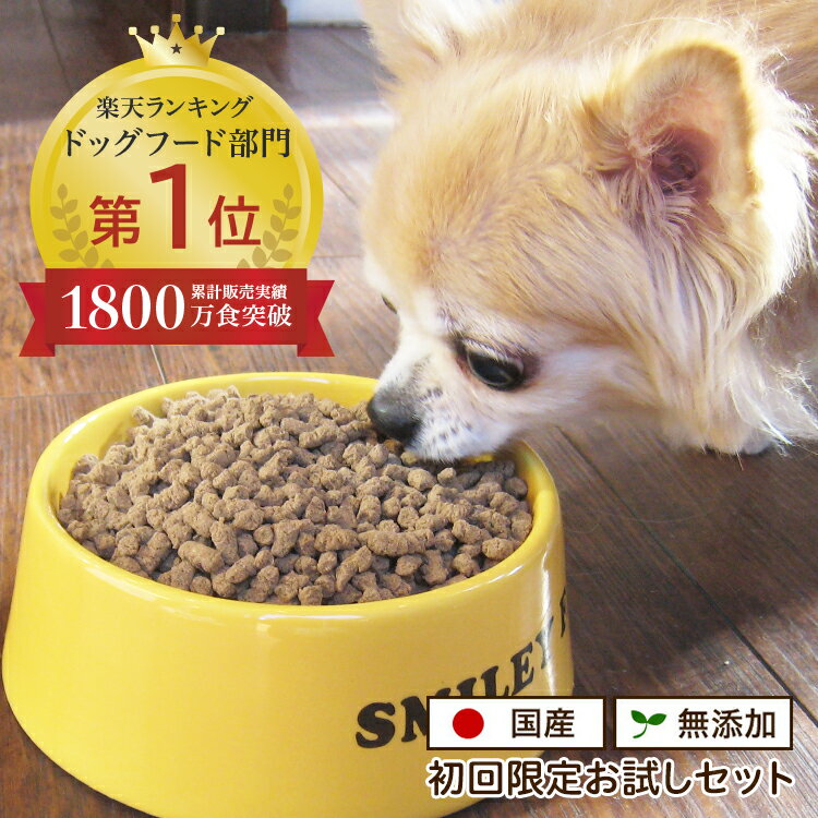 ★LINE登録300円OFF★楽天1位！1000円 ポッキリ ドッグフード 無添加 国産 お試し 250g ヒューマングレード 工場直送 できたてごはん 獣医師推奨 生肉 魚 アレルギー 皮膚 目 涙やけ におい 犬 ペットフード 偏食 小粒 大粒 シニア 老犬 小型犬 中型犬 大型犬 シェフドッグ