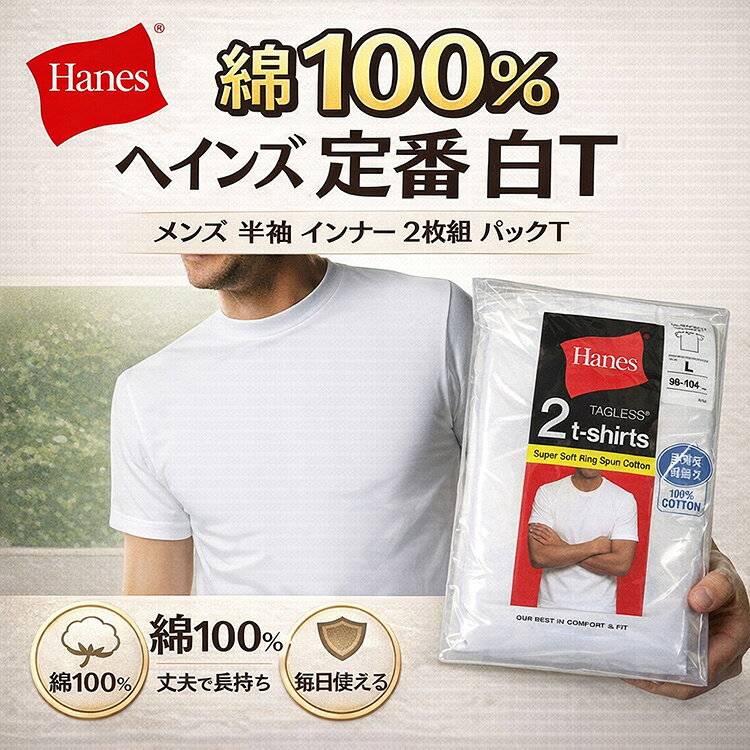 Hanes ヘインズ Tシャツ メンズ 2枚組 綿100％ 半袖 白 パックT 無地 インナー 肌着 下着 アンダーウエア 定番 人気 ブランド コットン 丈夫 洗濯強い 部屋着 普段使い メンズインナー 1000円ポッキリ 送料無料 丸首 Vネック
