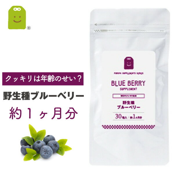 ＼1000円ポッキリ／ ブルーベリー サプリメント 約1ヶ月 ワイルドビルベリー ストロベリーエキス クランベリーエキス ルテイン メグスリノキエキス アイ（目） コエンザイムQ10 レスベラトロール スマホやパソコンの使用が多い方 楽天スーパーSALE 2026 父の日