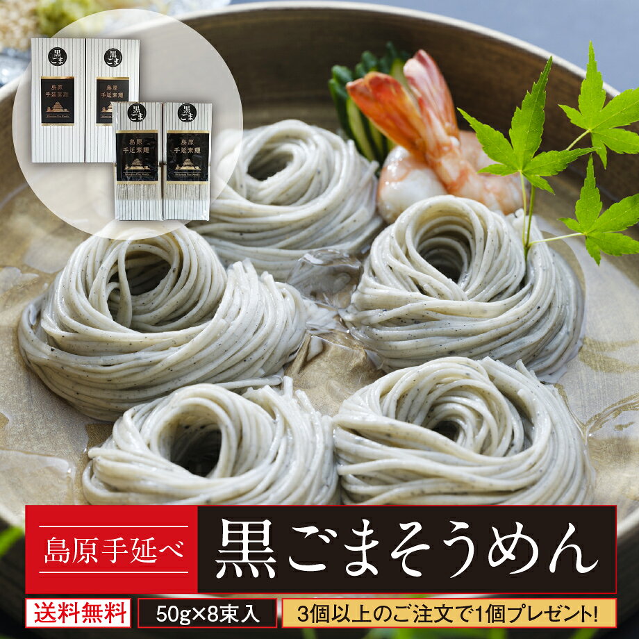 ＼ポイント5倍／ 1000円ポッキリ 送料無料 黒ごまそうめん 島原手延べ お試し8束セット 3個購入で1個おまけ 夏ギフト お中元 プレゼント ポイント消化 非常食