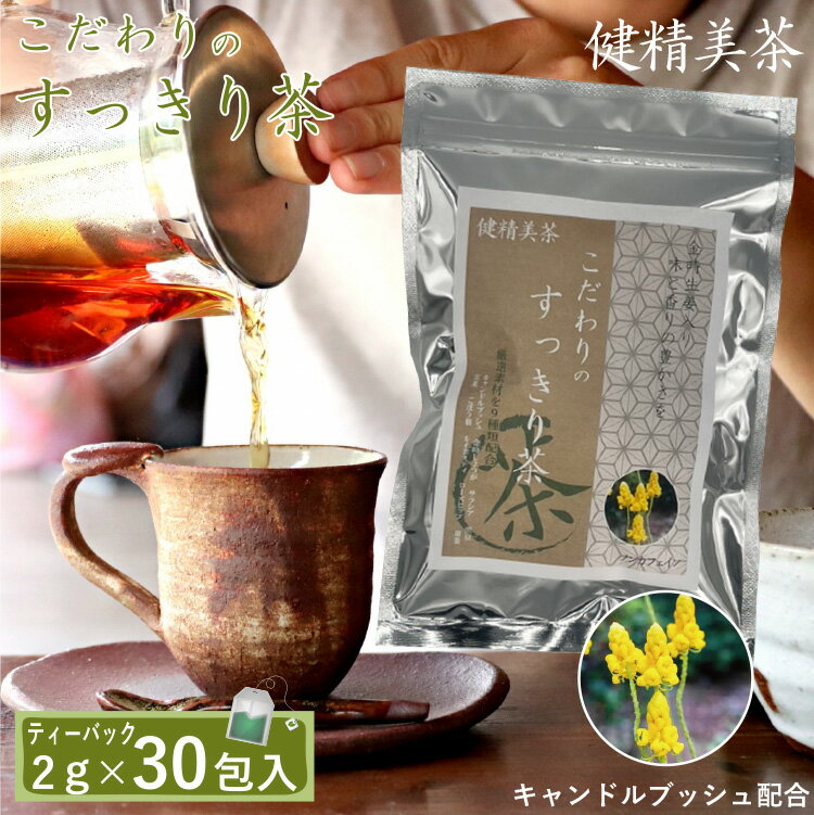 【1000円ポッキリ】 健精美茶 健康茶 こだわりのすっきり茶 キャンドルブッシュ 甜茶 ティーバッグ ティーパック ノンカフェイン ダイエットティー ダイエット茶 快調 快便 解消 人気 おすすめ 毎日 送料無料