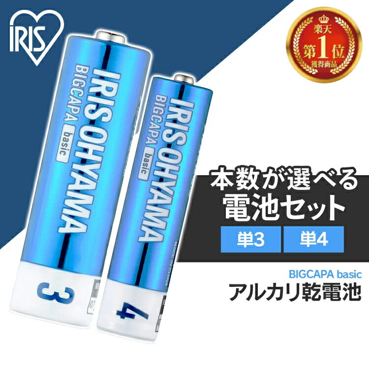 ＼1000円ポッキリ／【選べる40本セット】40本 乾電池 単3 単三 単4 単四 電池 BIGCAPA basic 40本セット 100本セット 200本セット 単3×40本 単4×40本 単3×20本＋単4×20本 3LR6Bb 4LR03Bb 3LR6Bb アルカリ乾電池 防災対策【代金引換不可・日時指定不可】【メール便】