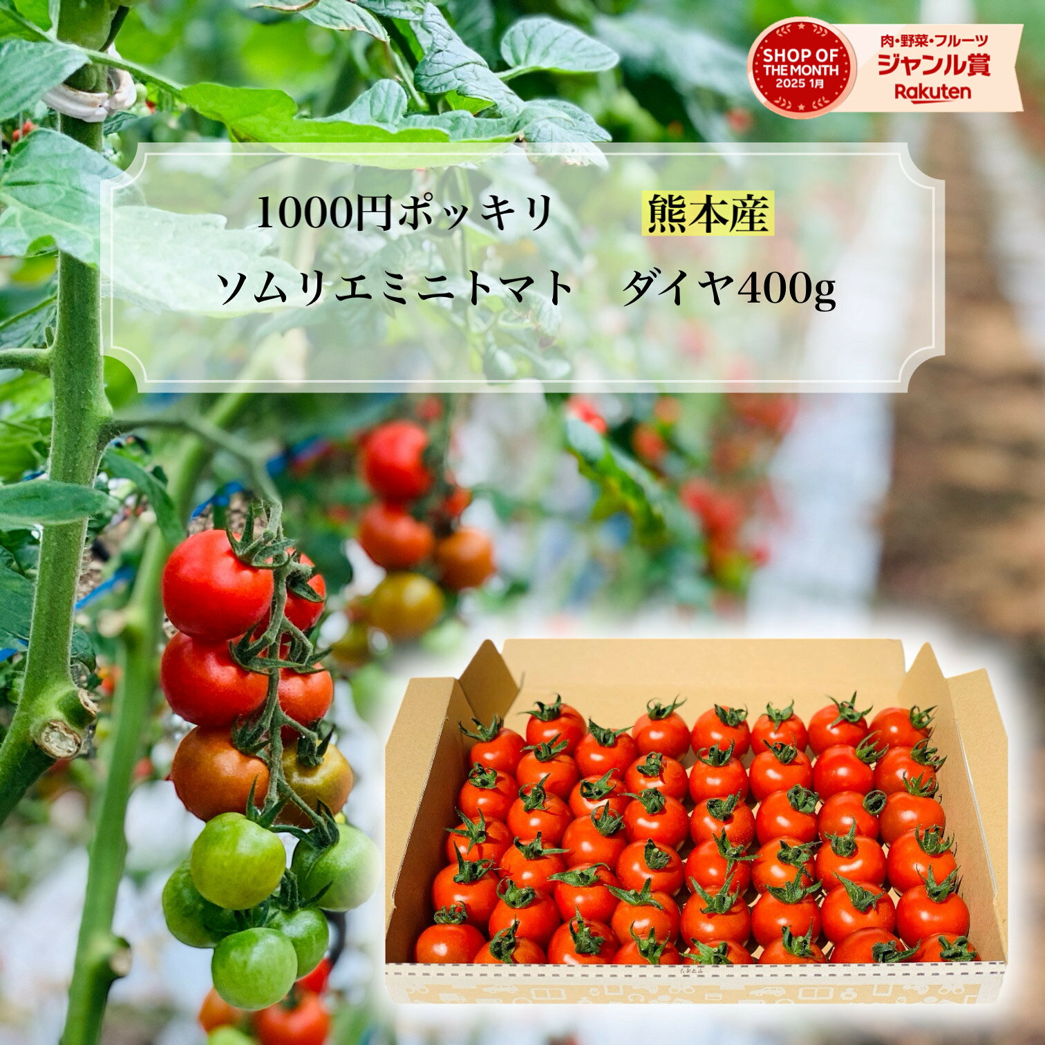 ＼ 予約 ／ とまと ミニトマト 1000円 ポッキリ 送料無料 【特別栽培農産物】 ソムリエミニ トマト ダイヤ 400g お試し ポスト投函 レシピ トマトジュース プチトマト プレゼント ギフト 内祝 ふるさと 楽天市場 ネットショッピング ダイエット