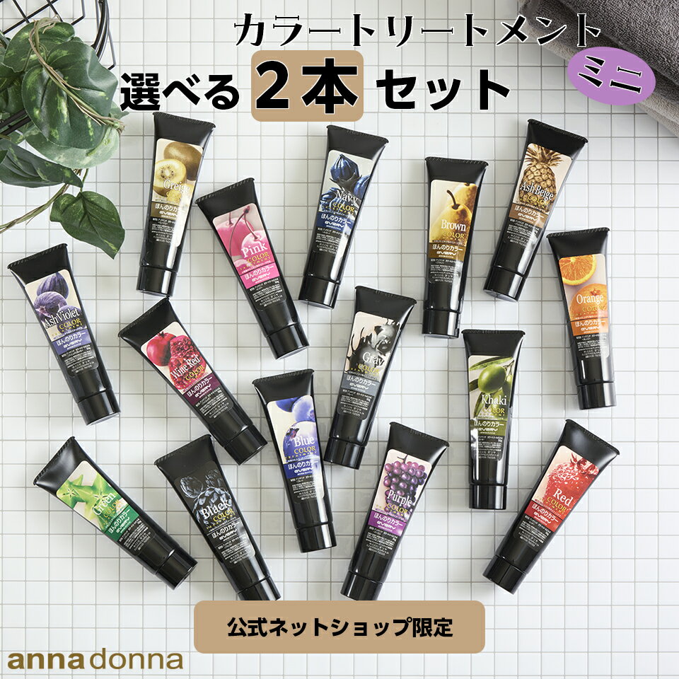 【公式ショップ限定】【2024.12〜第二世代】【期間限定販売】【 1000円ポッキリ 送料無料 】エブリ カラートリートメント ミニ (50g) お試し 2本セット 1000円ぽっきり アンナドンナ ヘアカラートリートメント ピンク アッシュ 青 ムラサキ グレー カラー剤 セルフカラー
