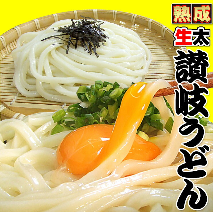 讃岐 熟成 ちょい生太 うどん 6食 便利な個包装 200g×3袋 600g 送料無料 最安値挑戦 お取り寄せ お試し 【1000円ポッキリ】