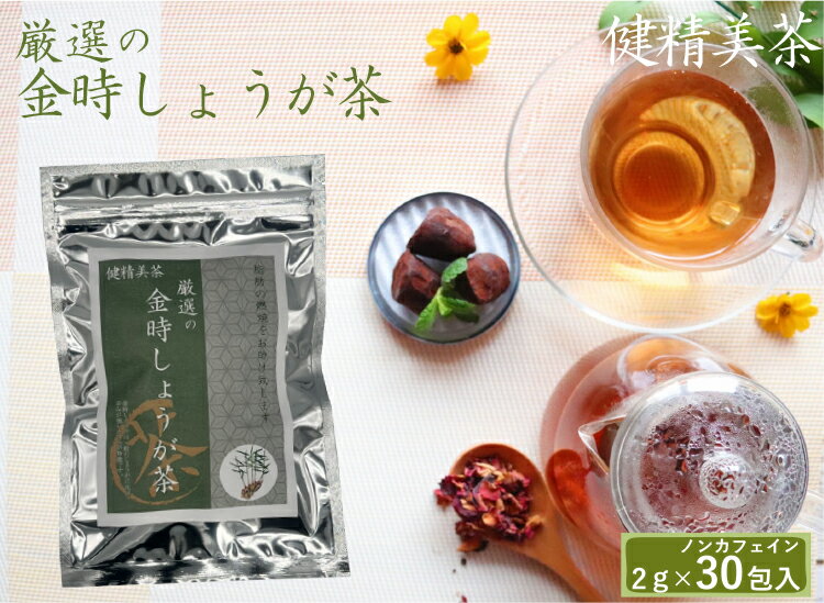 【1000円ポッキリ】 健康茶 金時しょうが茶 ダイエット茶 ノンカフェイン 健精美茶 黒豆 玄米 ルイボスティー ジンジャーティー 冷え対策 免疫力 体温上昇 ティーバッグ ティーパック 人気 おすすめ 送料無料 毎日