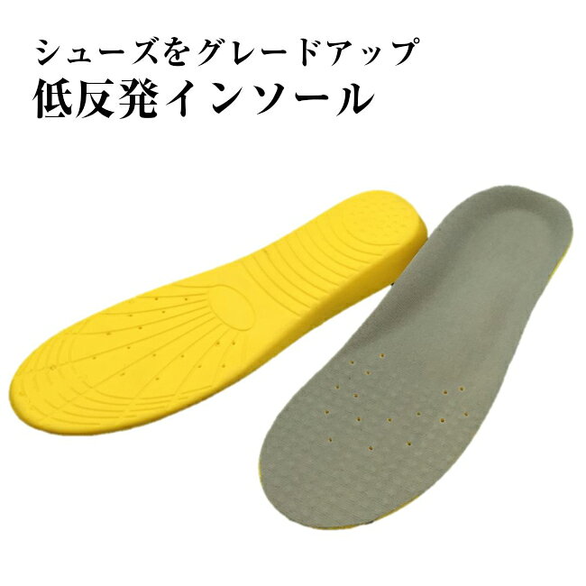 インソール 中敷き (1足分2枚) 衝撃吸収 低反発 立ち仕事 安全靴 スニーカー スリップオン サイズ調整 中敷 まとめて メール便 送料無料