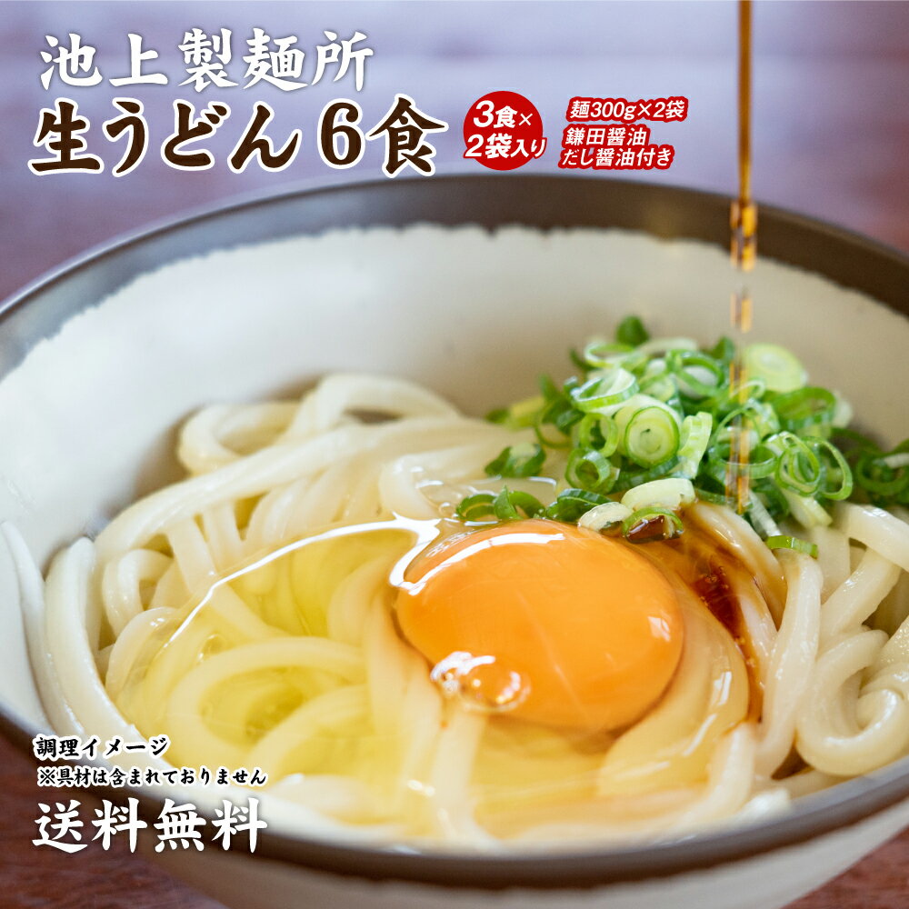 1000円ポッキリ 送料無料 池上製麺所特製 釜玉うどん 6食 ポイント利用 お試し ポイント消化 讃岐うどん ご当地グルメ 食品 産直 おすすめ うどん 讃岐 お歳暮 御歳暮 ギフト