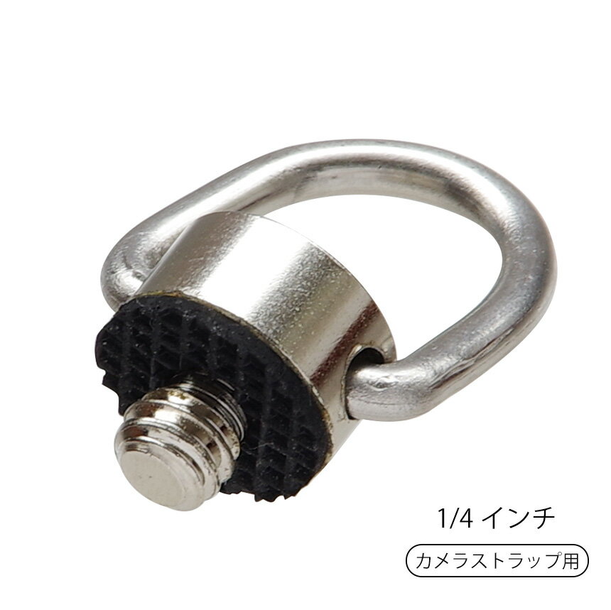Dリング カメラストラップ用Dリング 1/4スクリュー 1/4インチネジ ストラップホール 三脚ネジ 360度カメラ 自撮り棒 落下防止 アクセサリー シルバー カメラネジ ステンレス ストラップ