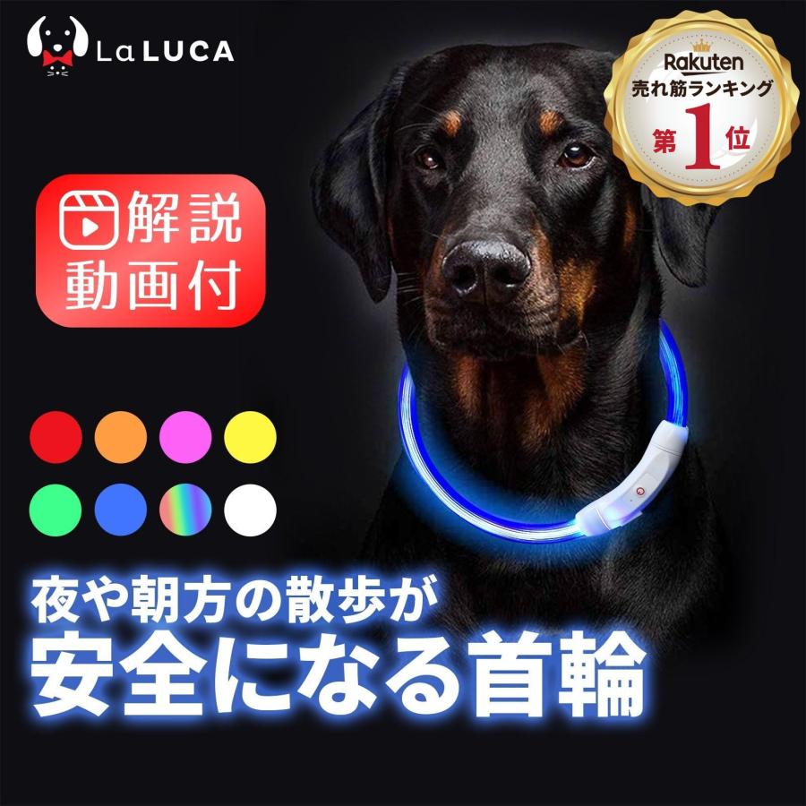 プロ監修 【楽天ランキング1位】 光る首輪 犬 LED首輪 レインボー 虹色 発光首輪 夜間 首輪 散歩 安全 事故防止 充電式 USB充電式 サイズ調整可 蛍光 小型犬 中型犬 大型犬 おしゃれ かわいい 猫 ライト LEDライト 点灯 点滅 カット 防水 散歩用 犬首輪