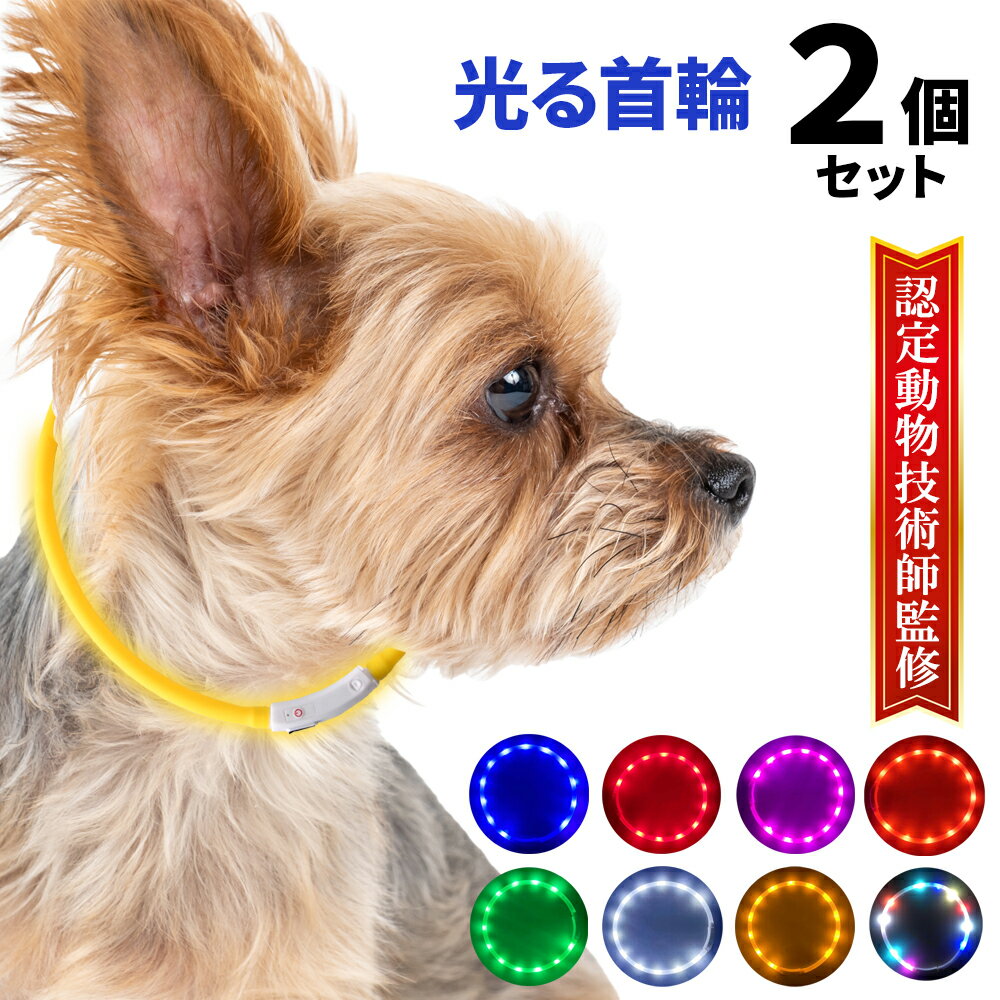 【実質1個640円！】 光る首輪 犬 【2個セット】 USB充電式 サイズ調整可 LEDライト 光る 首輪 ペット 犬 猫 カラー 点灯 点滅 小型犬 中型犬 大型犬 夜 散歩 安全 事故防止 ペット用品 犬用品 便利 簡単