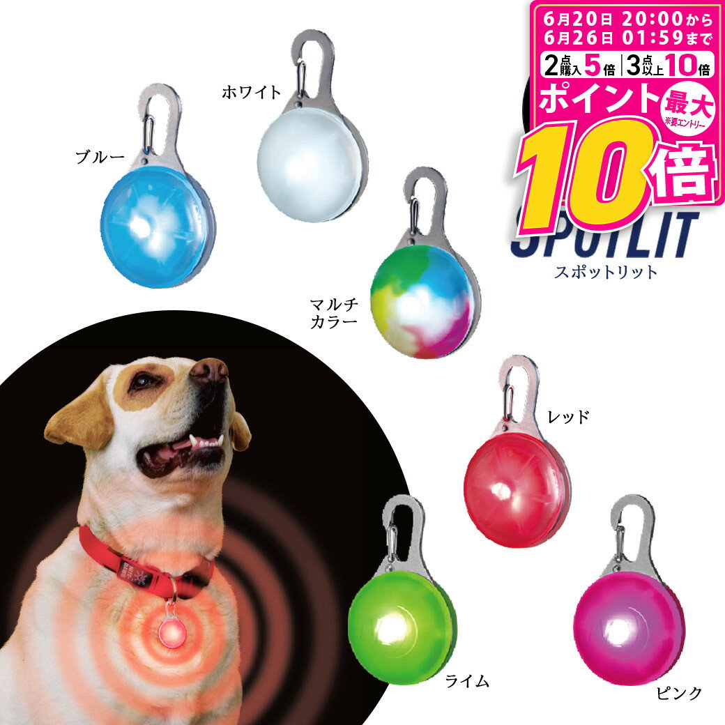 ポイント最大10倍！6/20 20:00〜6/26 01:59まで ナイトアイズ スポットリット