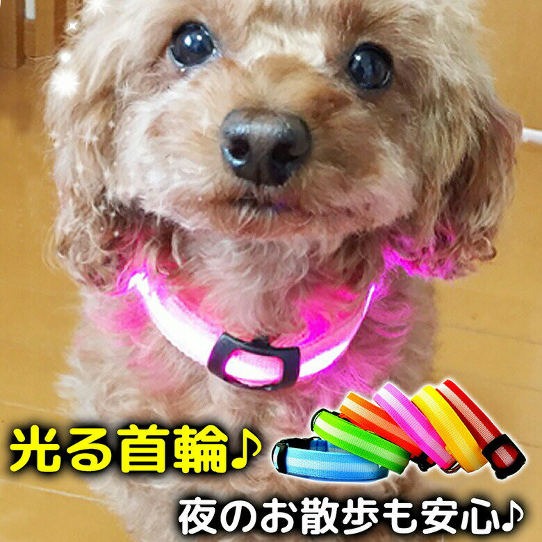 犬 首輪 光る 光る首輪 LED キラキラ光るバンド S/M/Lサイズ アームバンド 夜間 散歩 ジョギング ウォーキング きらきらバンド 事故防止 交通安全
