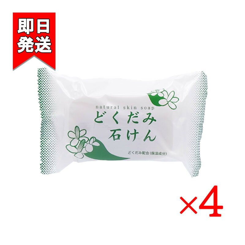 地の塩社 ちのしお どくだみ石けん 130g 4個セット DNスキンソープN 洗顔料 洗顔 全身用 固形石けん 石鹸
