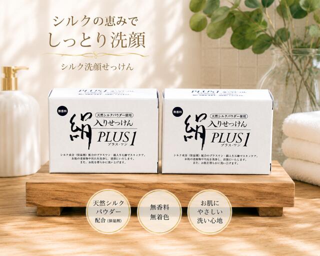 洗顔石鹸 お試し【2個セット】シルク石鹸 シルク せっけん PLUS1プラスワン スキンケア おすすめ 肌ケア 絹入り石鹸 天然「シルクパウダー使用」絹石鹸 敏感肌 乾燥肌 毛穴 無添加 顔 身体 無着色 潤い 固形 洗顔 全身 ボディケア 日本製 75g