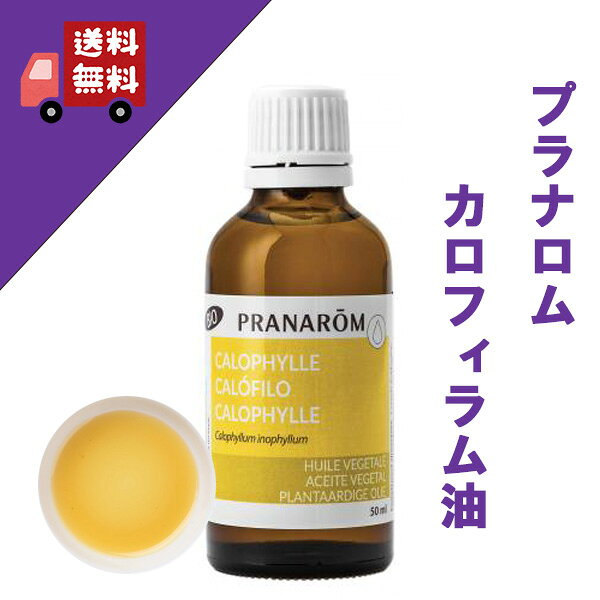 【カロフィラム油 カロフィラムオイル タマヌオイル 50ml】→局所使用がおススメ♪【PRANAROM（プラナロム）】（キャリアオイル/植物油/ベースオイル/マッサージオイル/トリートメントオイル/アロマオイル）