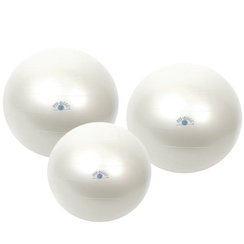【Wアクションポンププレゼント】ギムニク フィットボール65 バランスボール 65cm 送料無料【正規品】輸入元（株）ギムニク