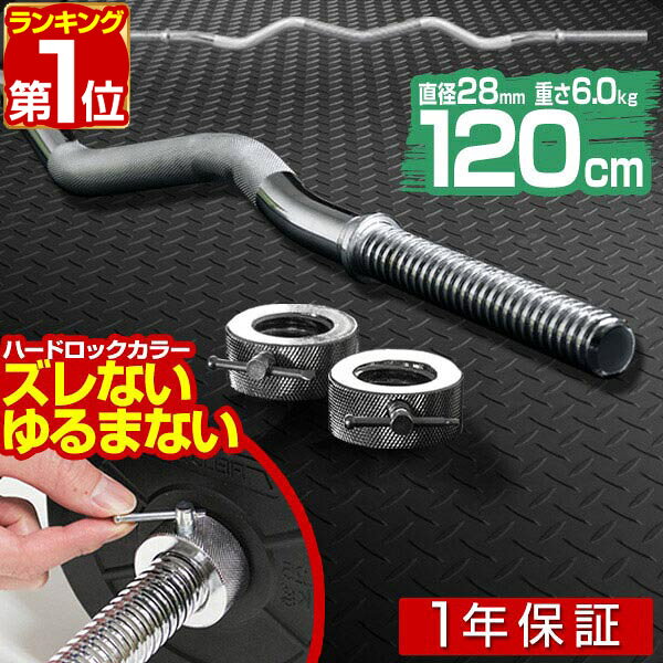 【3,960円→SALE3,740円〜7/11(土)01:59まで】【楽天1位】バーベル バーベルシャフト 長さ 120cm Wシャフト プレート カラー ダンベルプレート用 追加 径28mm 28φ1200 標準サイズ バーベル シャフト 筋トレ トレーニング ■[送料無料]