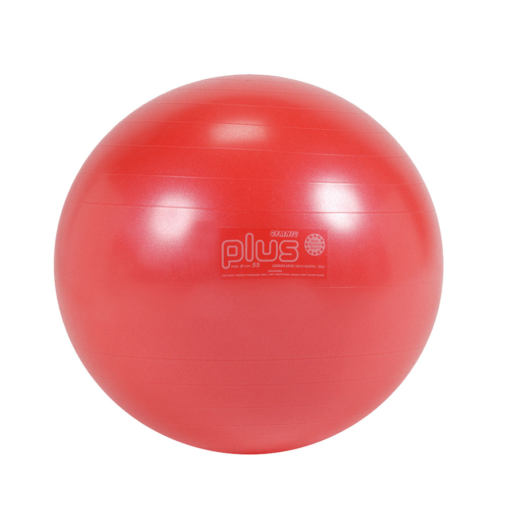 Wアクションポンププレゼント】ギムニク PLUS55R 赤 55cm　 バランスボール 55　【正規品】輸入元（株）ギムニク