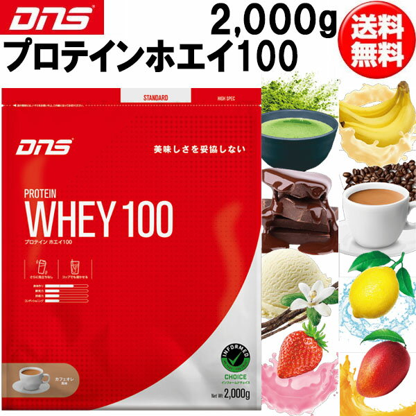 DNS ディーエヌエス プロテインホエイ100 2,000g プロテイン スポーツサプリメント dns 即納あり