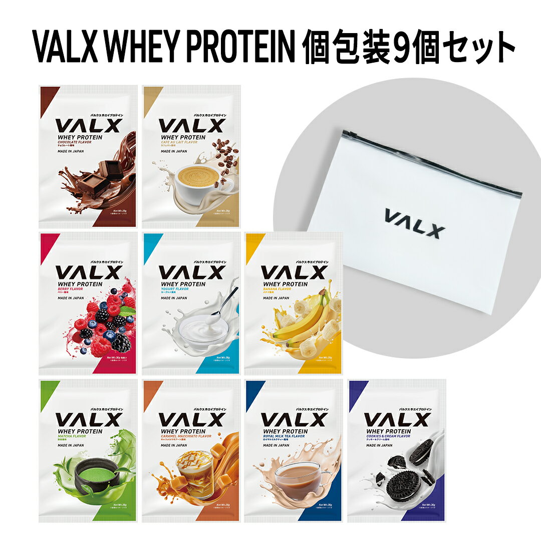 [LINE登録で1,000円OFF] VALX ホエイプロテイン コンプリートセット お試し 個包装 バナナ キャラメルマキアート ヨーグルト カフェオレ 抹茶 ロイヤルミルクティー チョコレート ベリー クッキー＆クリーム ケース付き WPC 山本義徳 タンパク質 男性 女性