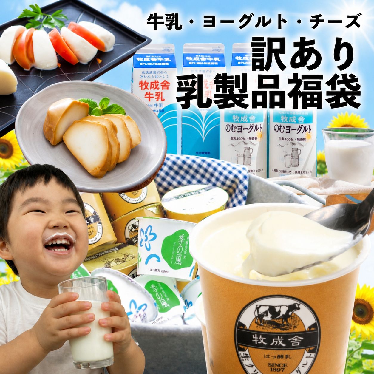 訳あり 乳製品福袋 2026 食品ロス 福袋 食品 国産チーズ 在庫処分 訳アリ 牛乳 ヨーグルト 乳製品 詰め合わせ チーズ 牧成舎 スイーツ 送料無料 ワケアリ 父の日 ギフト 母の日 DEAL 父の日に乳（ちち）製品を