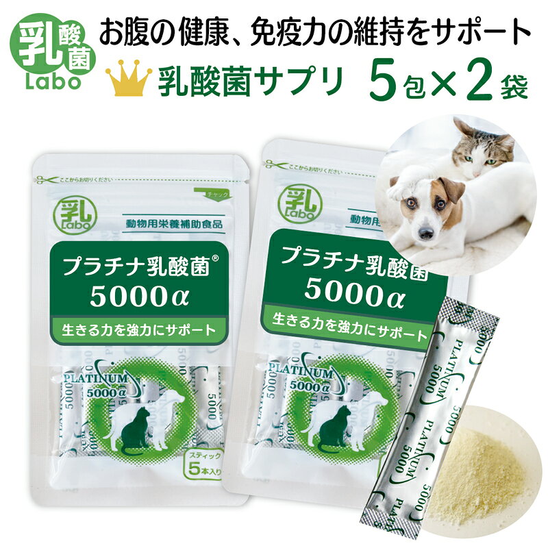 猫 犬 ペット 乳酸菌 サプリ 動物用サプリメント 粉 パウダー 顆粒 送料無料 濃縮乳酸菌 ナノ型乳酸菌 国産 乳酸菌ラボ お腹の健康 免疫調整 口内環境 整腸 腸活 皮毛向上 すごい乳酸菌の量 プラチナ乳酸菌5000α 5包入×2
