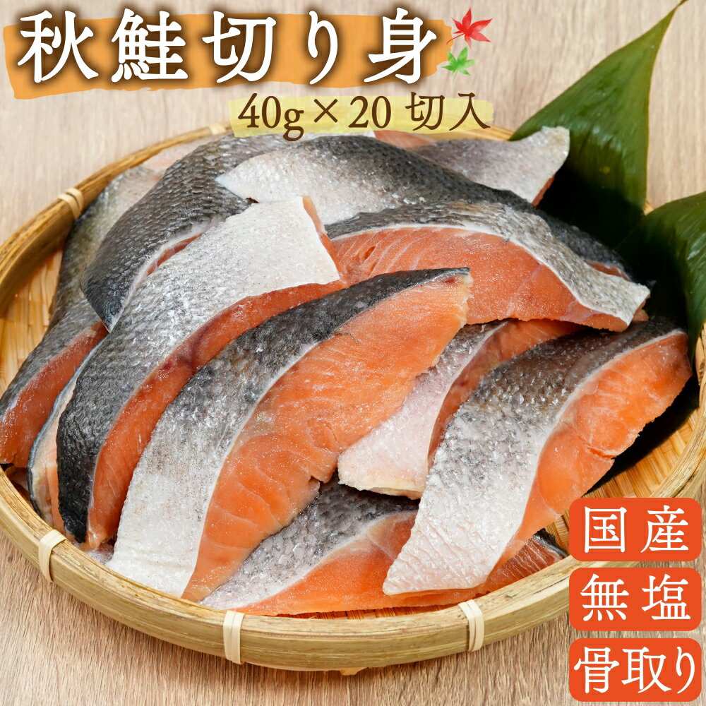 ひとま 国産 天然 無添加 無塩 鮭 切り身 40g 20切 800g 魚 骨取り 骨なし 北海道産 秋鮭 冷凍 バラ凍結 サケ まぐろの海商