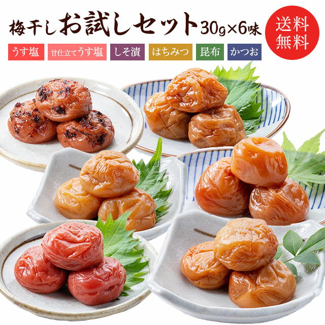 1000円 ポッキリ 梅干し 送料無料 福梅ぼし6味お試しセット各30g×6味（2～3粒） はちみつ 無添加しそ漬 うす塩 こんぶ かつお 甘仕立てうす塩味 セット商品 食べ比べ ご飯のお供 福井県産紅映梅 国産 バニリン お取り寄せ グルメ お試し 福梅 福梅ぼし