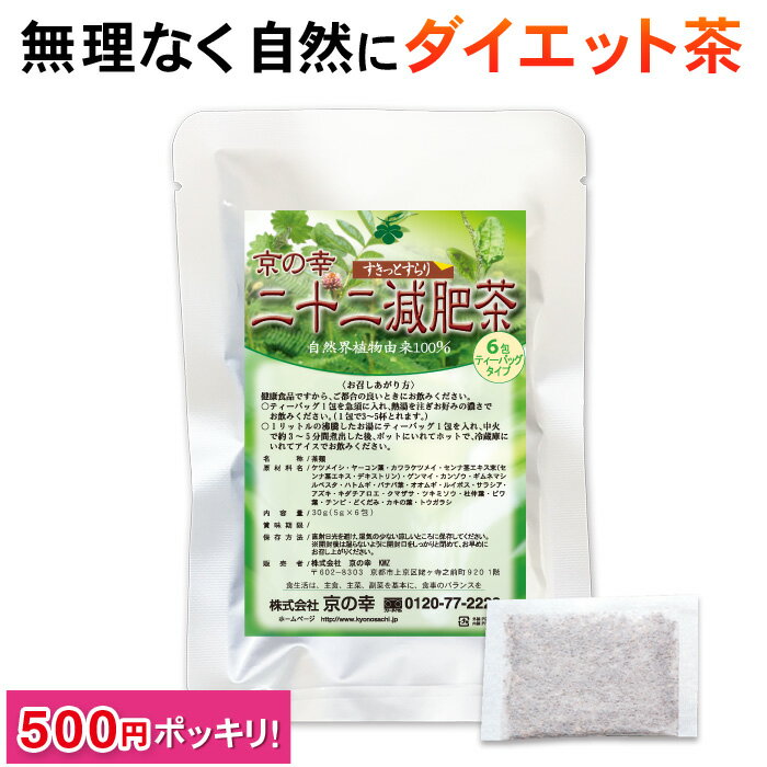 【お買い物マラソン】 ダイエット お茶 ダイエット茶 健康茶 ブレンド茶 ティーバッグ ティーパック 二十二減肥茶 お試し 6包 ノンカフェイン 無添加 バナバ ギムネマ 食べ過ぎ 運動不足 どっさり 簡便秘密 ギフト
