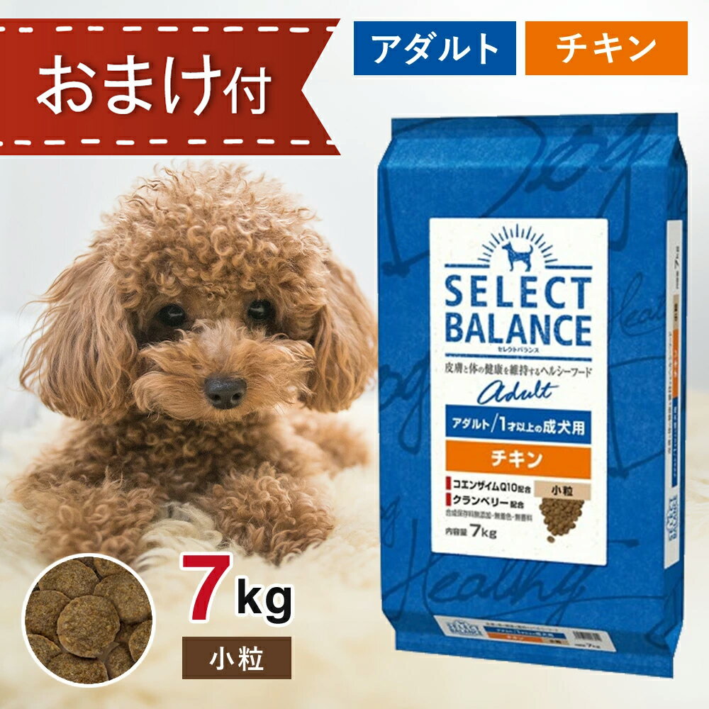 【2時間限定！早い者勝ち10%OFFクーポン配布中！】 セレクトバランス アダルト チキン 小粒 7kg ペットフード おやつ ＆ おまけ 付き ドッグフード 餌 エサ 犬 1歳以上 成犬 低脂肪 低カロリー 皮膚 被毛 関節 健康 免疫力 腸内環境 無添加 無着色 7キロ