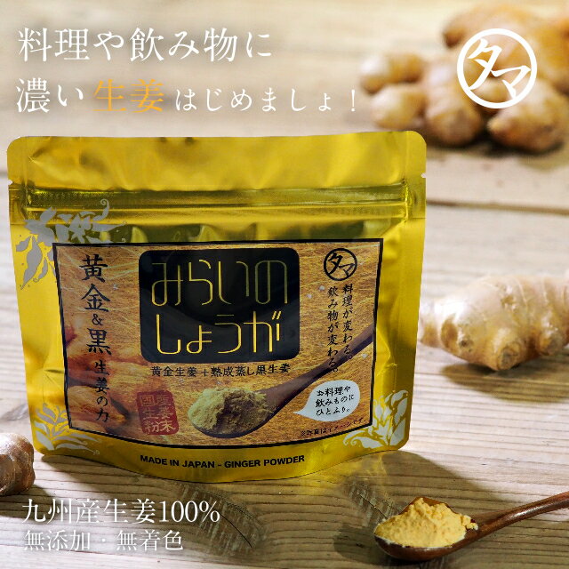 みらいのしょうが 70g メール便 送料無料お一人様2袋まで 九州産の黄金生姜と熟成黒生姜をまるごと乾燥させた無着色・無添加しょうがパウダー。お料理にも活躍！チューブの約20本分 | 蒸し生姜 乾燥生姜 100％ 生姜粉末 しょうが粉末 生姜パウダー 温活 冷え対策 白湯