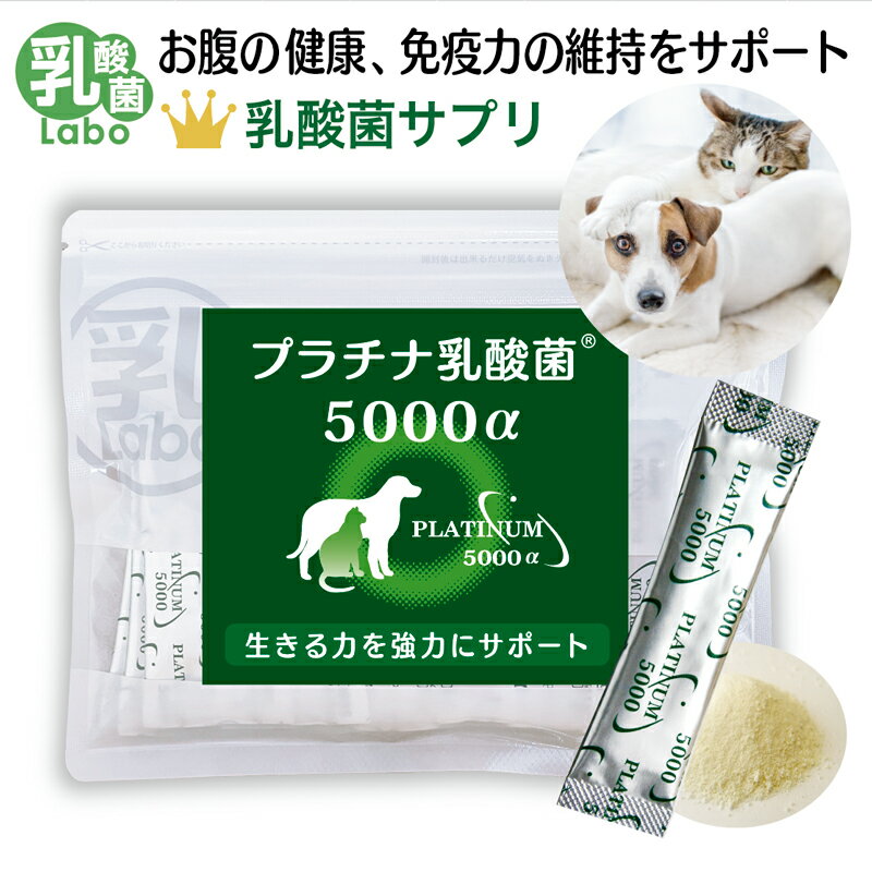 犬 猫 サプリ プラチナ乳酸菌5000α 30包入 （ プラチナ乳酸菌5000アルファ ） ペット サプリメント ビフィズス菌 オリゴ糖 お腹の健康維持 免疫の健康維持 口内環境ケア 腸活 国産 無添加 顆粒 乳酸菌ラボ