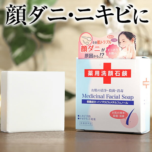 【本日SALE中★店内ポイント最大20倍＆2000円OFFも！～6/11 01:59】薬用 顔ダニ石鹸 【公式】 115g 【 医薬部外品 】 顔ダニ ニキビケア にきび ニキビ 大人ニキビ 洗顔石鹸 洗顔せっけん 固形石鹸 固形 石けん