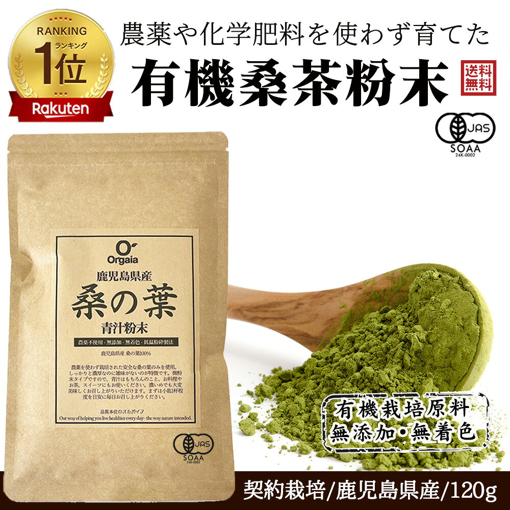 ＼ 品質本位で売れてます／「1位連続受賞」農薬 化学肥料不使用 有機 桑の葉茶粉末 青汁 お得な120g 100%桑茶パウダー 鹿児島県産 国産【完全無添加・低温粉砕製法・有機JAS】桑の葉茶・ダイエット/糖質制限/サプリメント 送料無料 無農薬 オーガニック