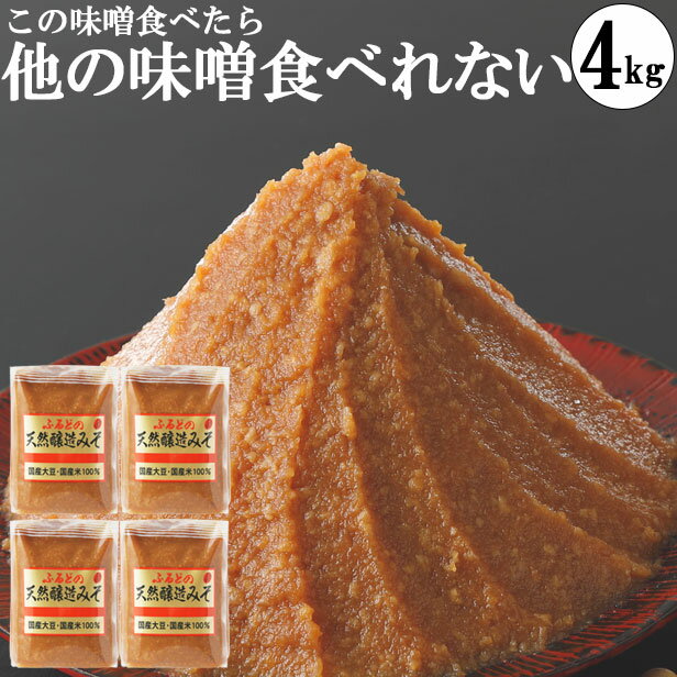 味噌 みそ 1kg袋4個 本物の味噌 味噌 糖質制限 低糖質 化学調味料無添加味噌 4kg ギフト ギフトセット 出産内祝い ビーガン ヴィーガン 敬老の日 プレゼント