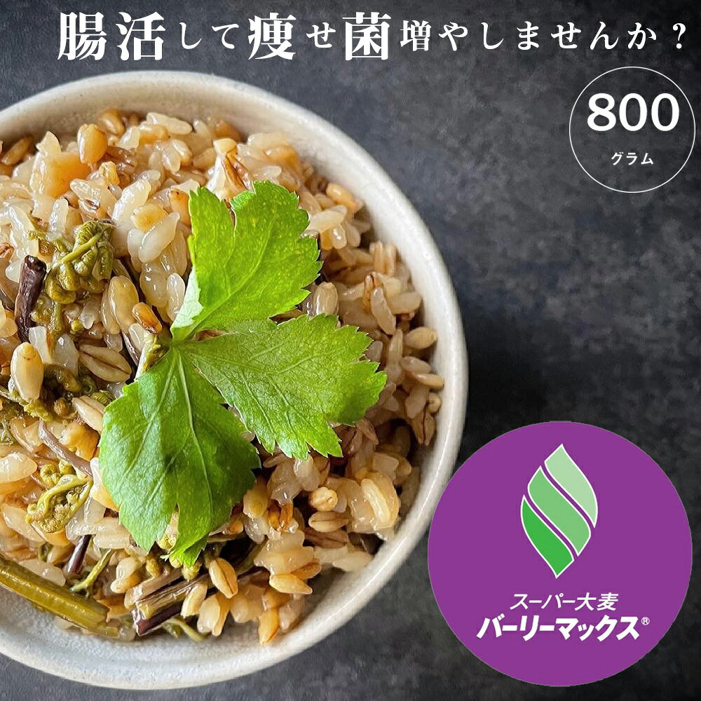 スーパー大麦 バーリーマックス 800g　食物繊維がもち麦の2倍 レジスタントスターチ β-グルカン フルクタン 大麦 玄麦 腸活 低糖質 糖質カット 糖質オフ 糖質制限 【メール便 送料無料】こめたつ 自然の蔵
